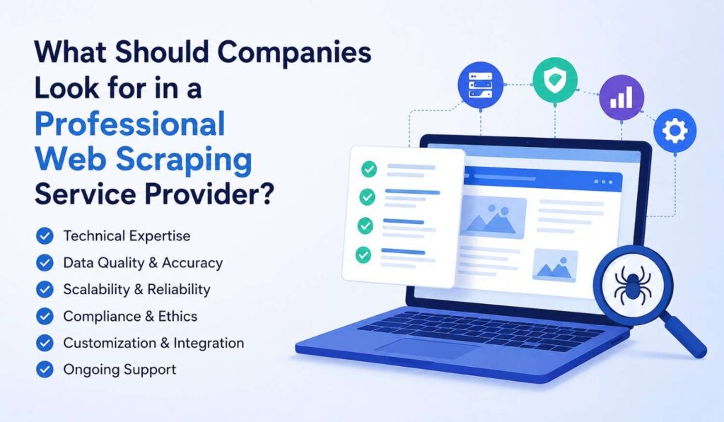 What Should Companies Look for in a Professional Web Scraping Service Provider?
