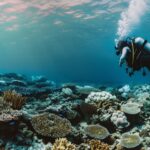 Scuba Diving British Virgin Islands Amazing Dive Spots You Should Experience