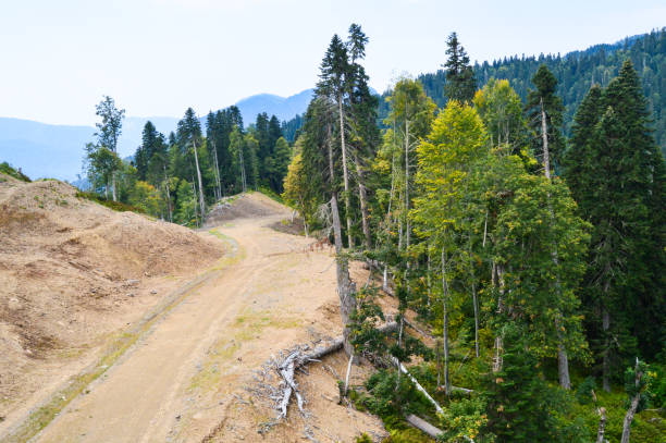 Detailed Explanation of Types of Slope Failure with Real World Applications and Prevention by Argentium