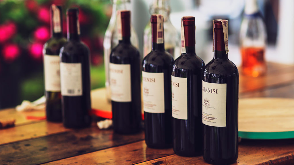 The Role of Renewable Energy in Modern Winemaking