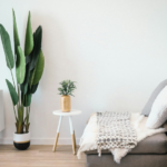How to Plan a Home Remodel in San Diego: What to Know About Flooring, Contractors, and Design Centers Before You Start