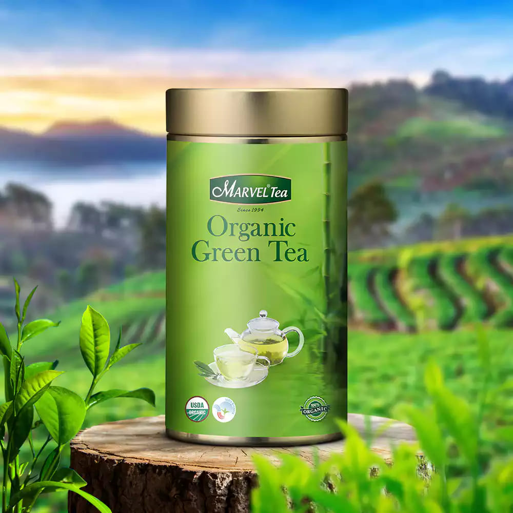Green Tea for Gut Health: What You Should Know