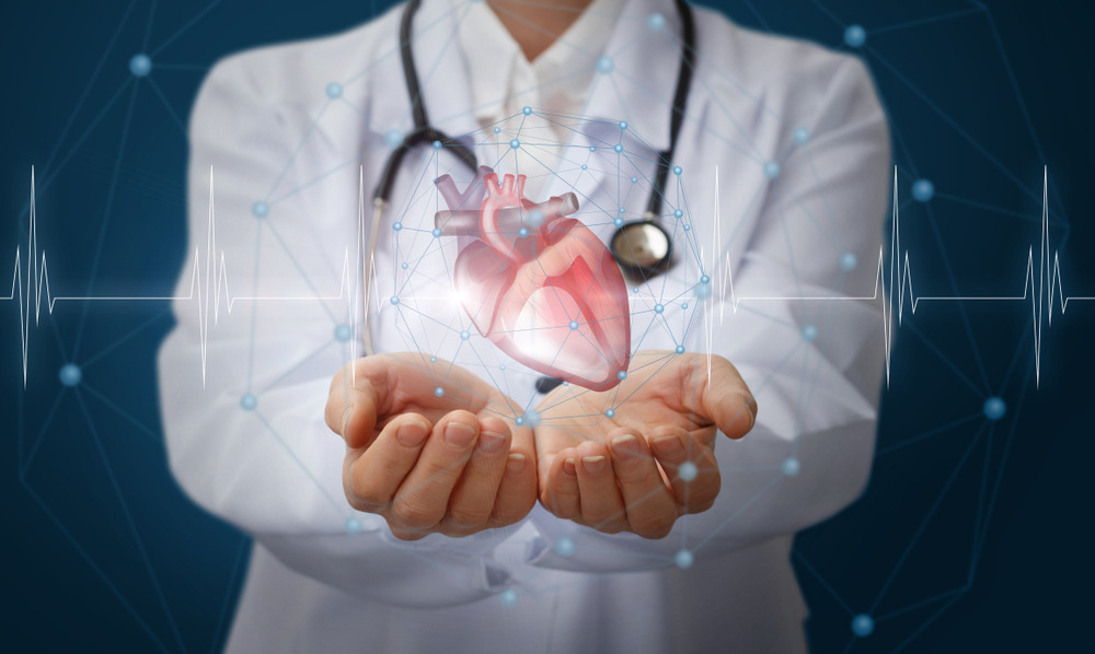 Understanding Cardiac Wellness and Finding a Heart Specialist in Seawoods