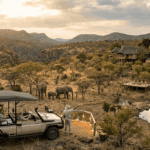 How to Plan Exclusive Luxury Honeymoon Safaris in Africa for Your 2026 Trip