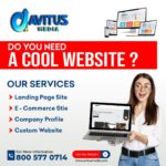 Grow Your Business with Avitus Media