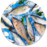 Fresh Fish Delivery Dubai – Fast, Hygienic & Fresh Seafood with FishandGo