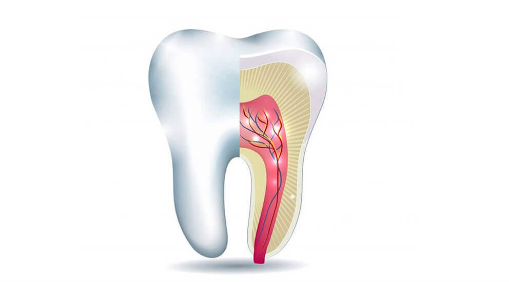 Trusted Root Canal Specialist in Solapur for Safe RCT Treatment