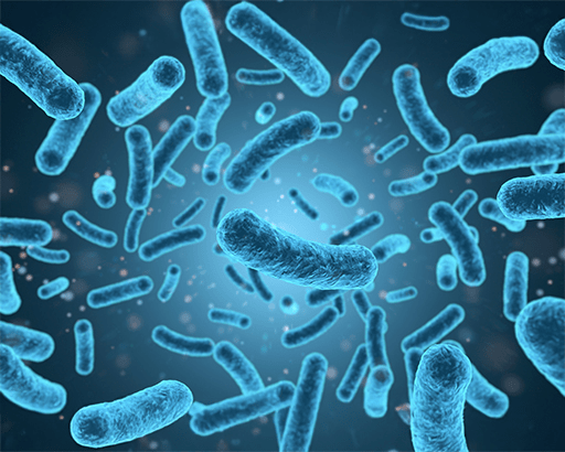 Probiotic Contract Manufacturer – Your Trusted Partner for Quality Probiotic Solutions