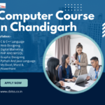 Building Practical Digital Skills for a Competitive Career