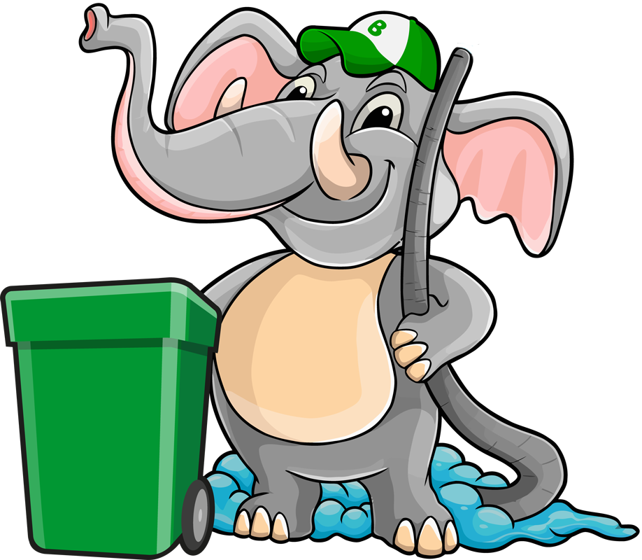 Professional Trash Bin Cleaner Services for a Cleaner, Healthier Home