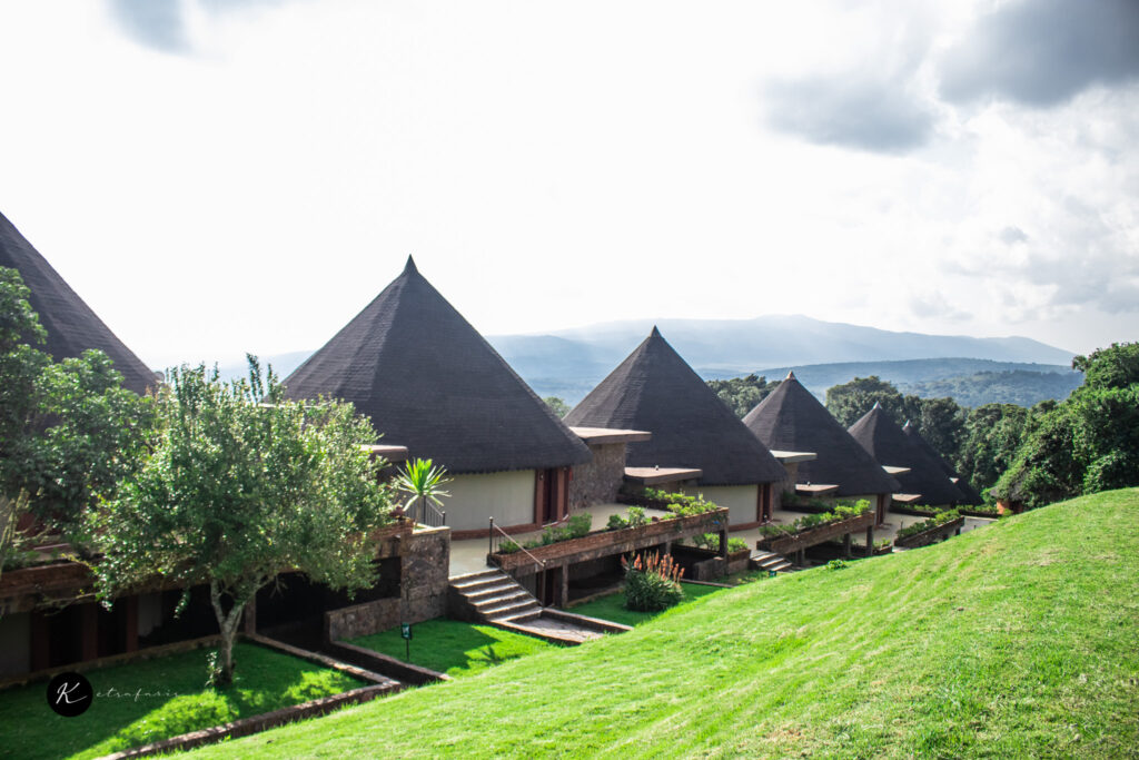 Kenya Safari Lodges vs. Tented Camps: Which Safari Experience Is Right for You?