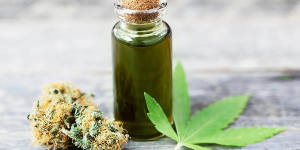 What Are the Best Weed Strains for Pain Management Trends?