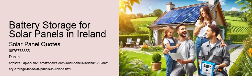 The Environmental Impact of Switching to Solar Energy