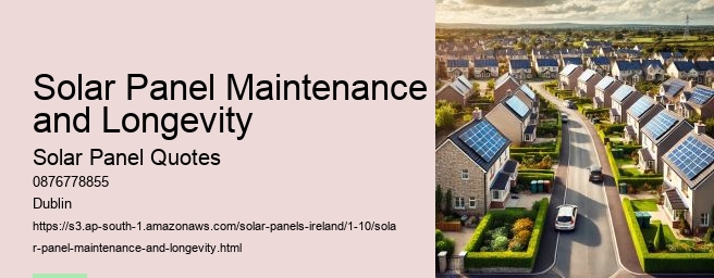 Government Grants and Incentives for Solar Panels in Ireland