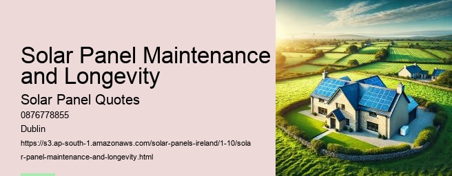 What to Expect During the Solar Panel Installation Process in Ireland