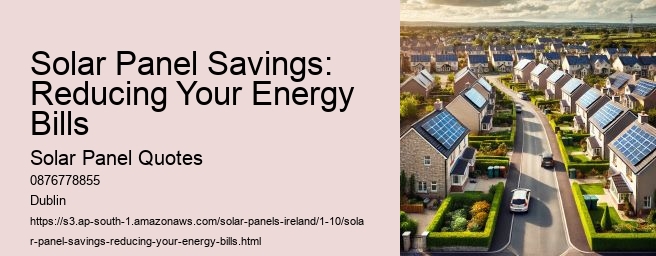 Solar Panels and Their Role in Reducing Carbon Footprint