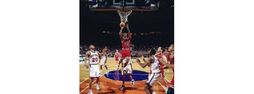 Basketball - Batch II