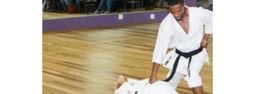 Purple to Black Belt Classes