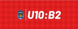 U10 B2 Dode