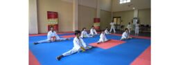 MMA Morning
