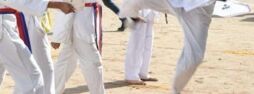 Board Breaking/Stunts/Poomsae /Self Defence