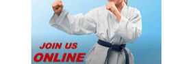 Online Karate Classes