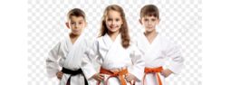 Karate 9-13 years & كراتيه من 5 -8 سنوات (ONE TO ONE)