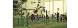 Horse Riding Evening