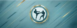 Nagpur Mix Martial Art(MMA) Mon to Sat