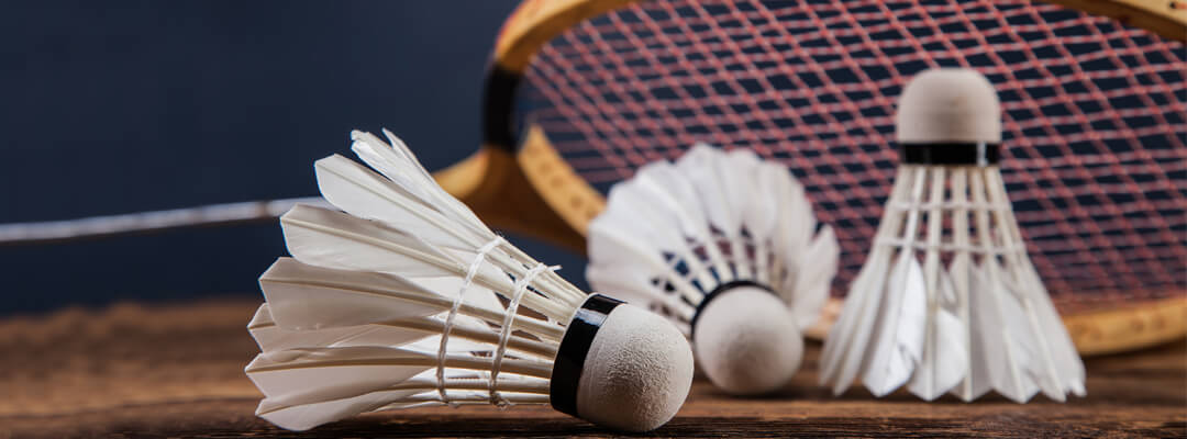 abu boss badminton academic