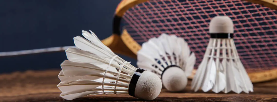 DeeMash Badminton Academy 