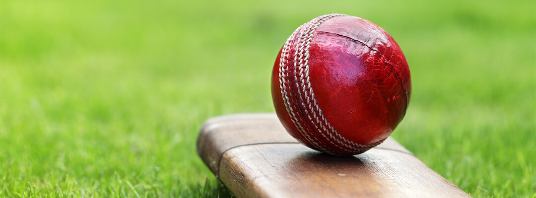 spider cricket academy 1