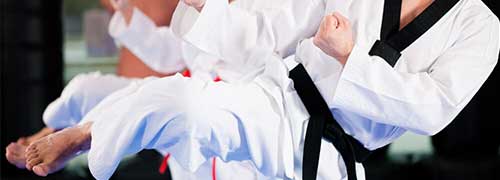 Indian Institute of Taekwondo and Self-Defence