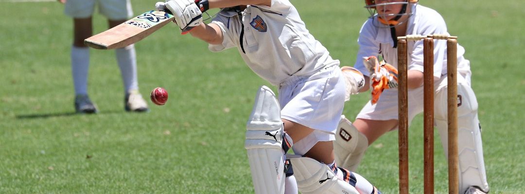 School Cricket Match