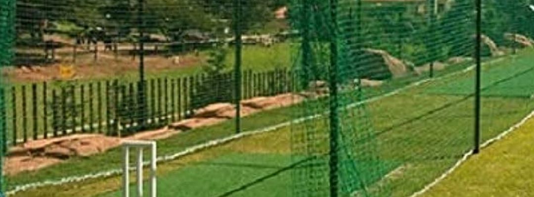 Cricket Turf