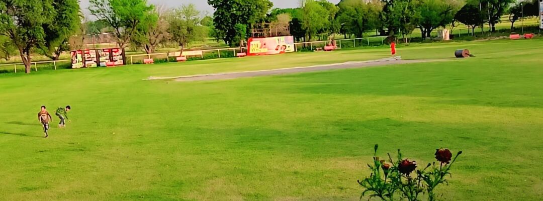 Cricket Ground 