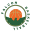 FALCON BASKETBALL