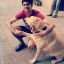 AshwinShenoy