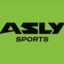 ASLY SPORTS BADMINTON 