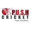 Push Cricket Academy