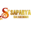 Saparya Kalakendra