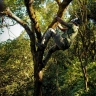 Gokul SpotlessCheetah Gokul SpotlessCheetah