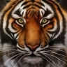 Dilip Rathod Dilip Rathod