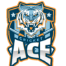 ACE