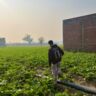 anurag singh