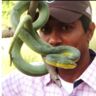 Ashutosh More