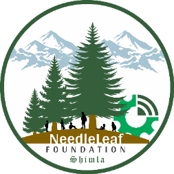 Needleleaf