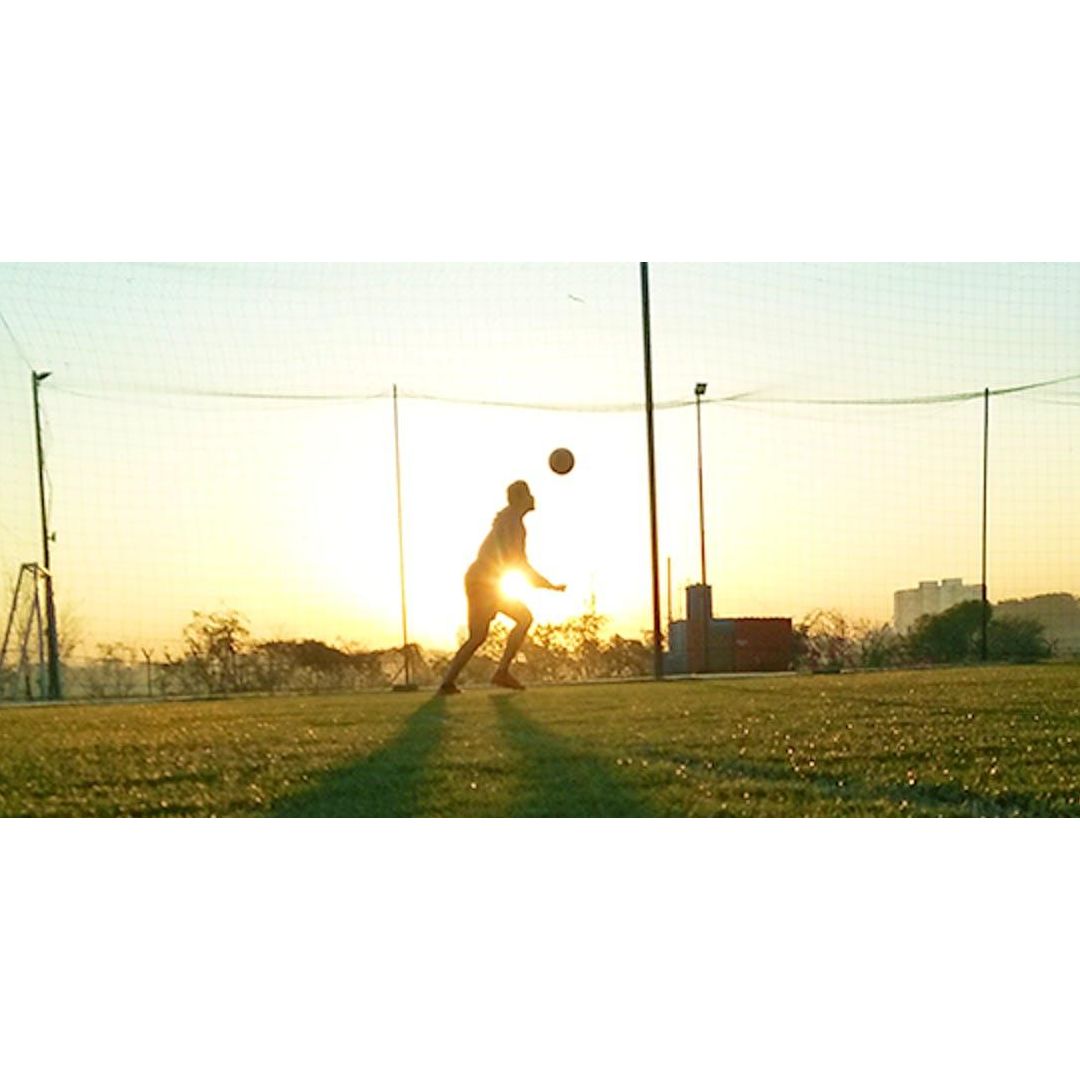 Goal Arena Football And Futsal Turf