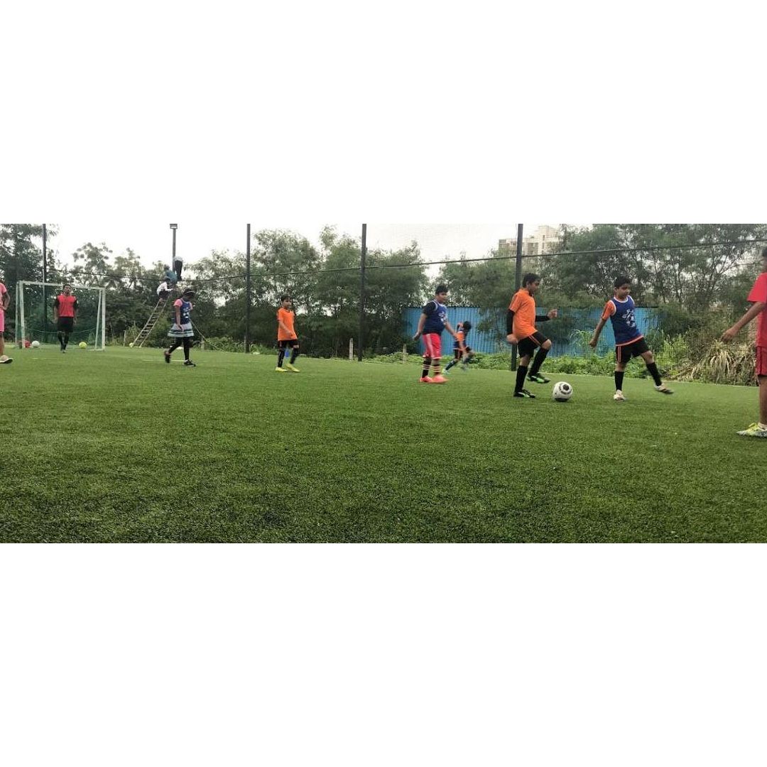 V2a Turf Park