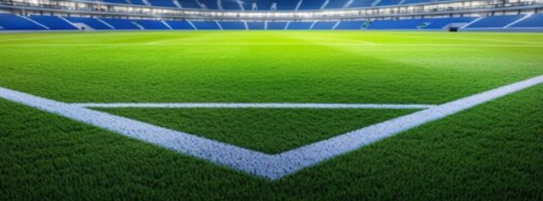 Blue Tigers United Football Club X Academy